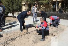 گزارش تصویری مراسم روز درختکاری